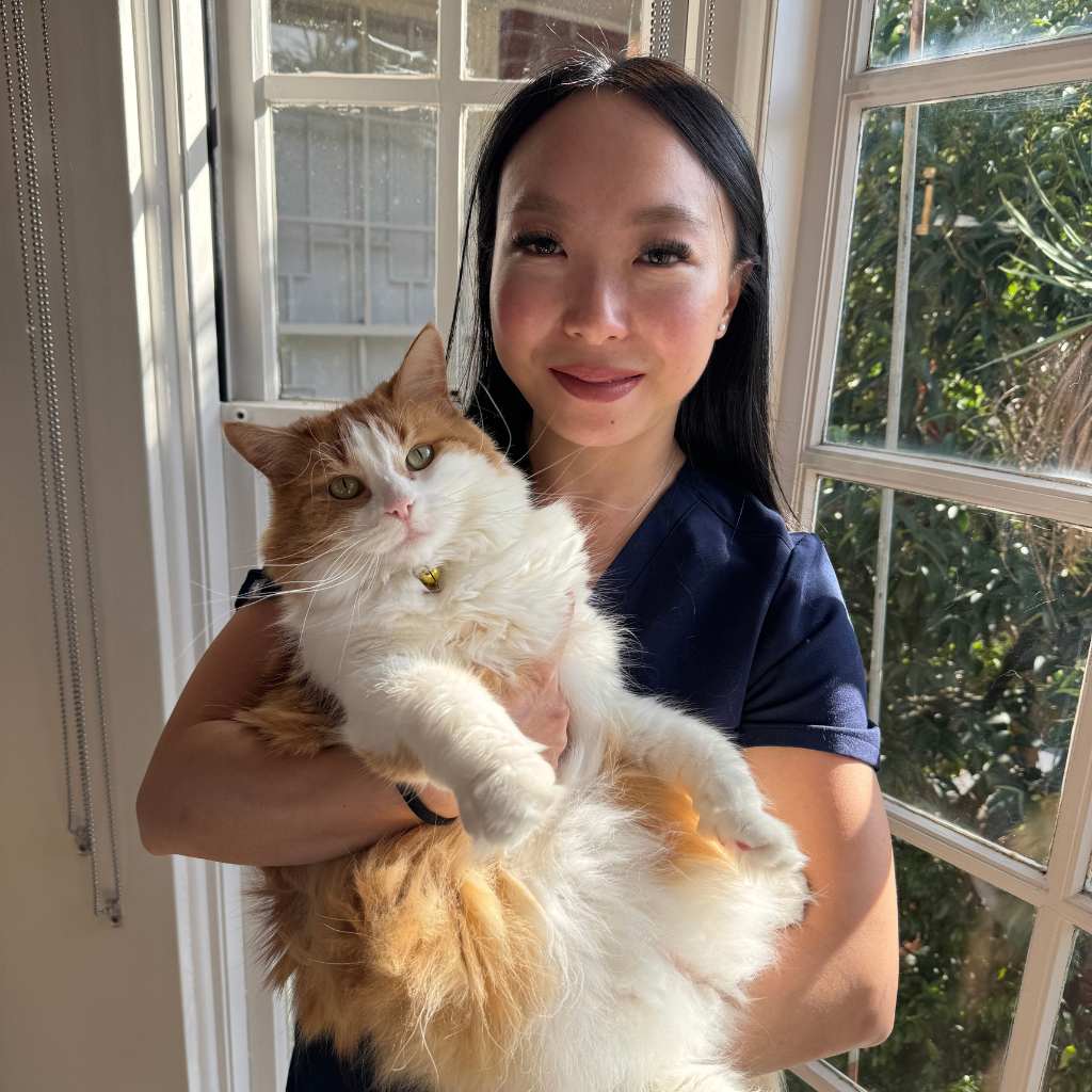 Dr Efei with a cat