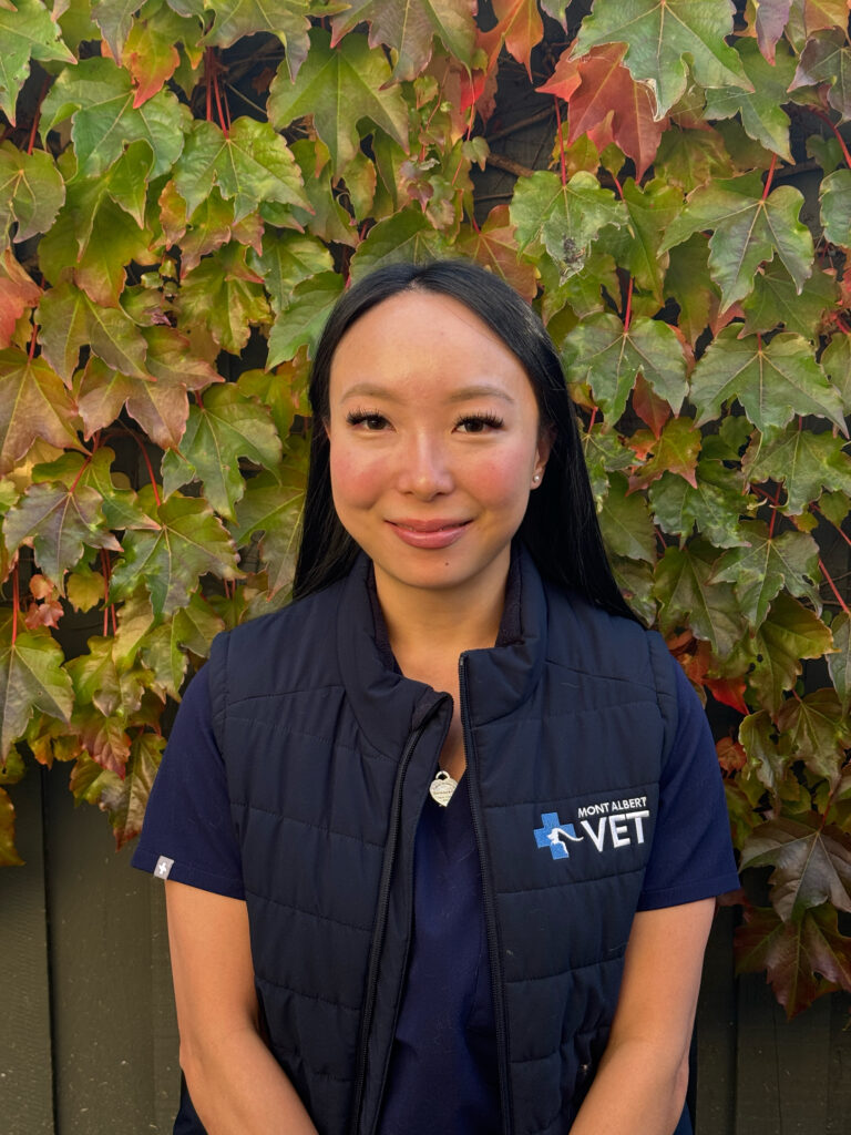 Dr Efei at Mont Albert Veterinary Clinic in Mont Albert Melbourne.