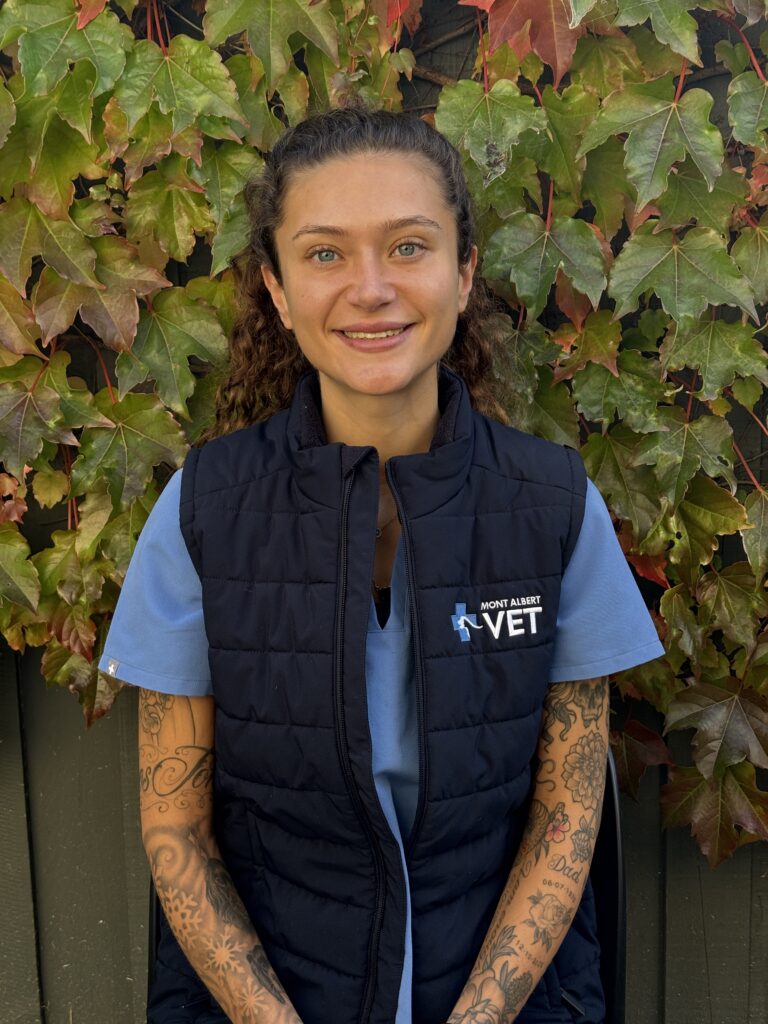 Nurse Renee at Mont Albert Veterinary Clinic in Mont Albert Melbourne.