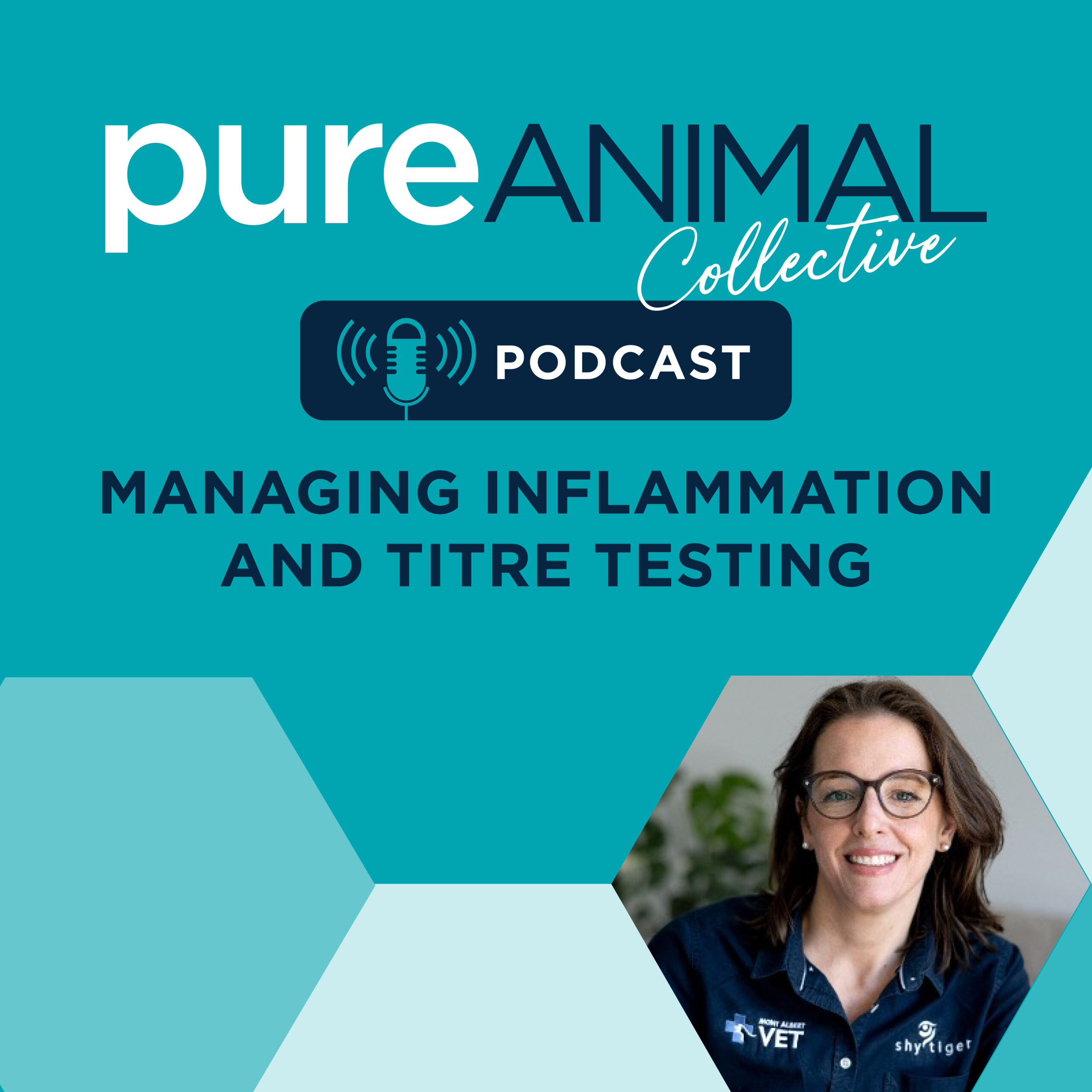 Understanding Inflammation, Titre Testing, and the Future of Personalised Pet Care