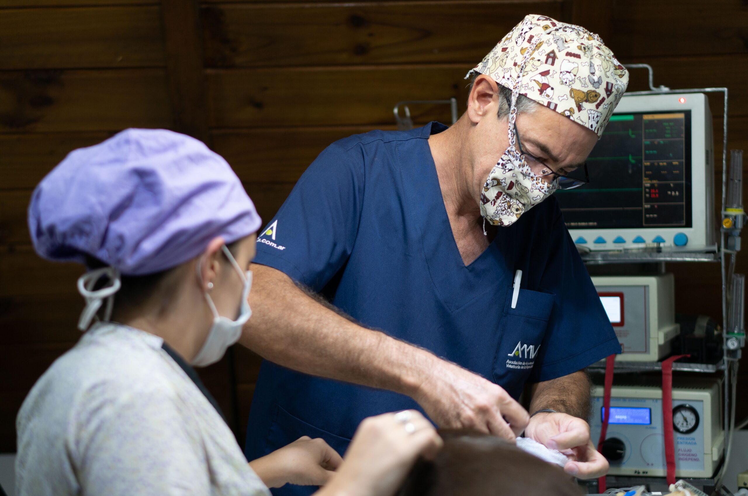 dog undergoing soft tissue surgery at vets of melbourne
